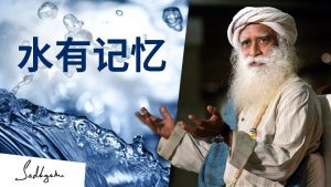 因为水有记忆,所以该这样喝水