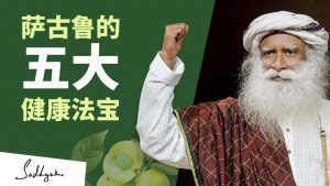 来自萨古鲁的五条重要健康贴士