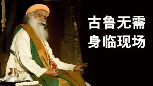 古鲁无需身临现场丨视频