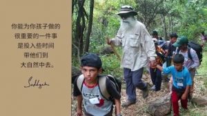 大自然可以教孩子老师和父母不能教的东西丨视频