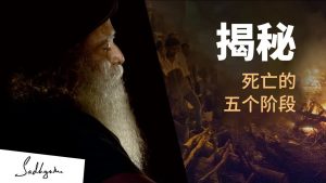 死亡的5个阶段丨视频