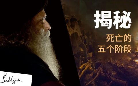 死亡的5个阶段丨视频