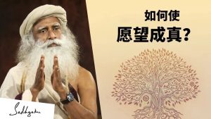 如何使梦想成真？丨视频