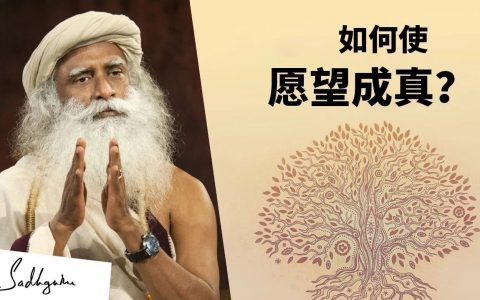 如何使梦想成真？丨视频
