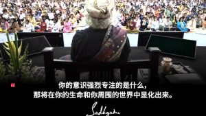 让对你最有利的，像魔法般自然呈现丨视频