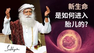 新生命是如何进入胎儿的？