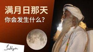 满月日那天，你会发生什么？