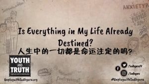 一切都是命中注定的吗？丨视频