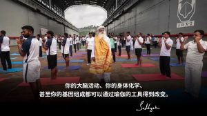 瑜伽是关于打破局限,而不是看上去像剩面条!丨视频