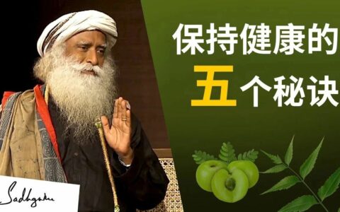 做这五件事，极大提升你的免疫力丨视频
