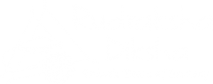 Rudraksha Diksha（金刚菩提子赠授）相关问答