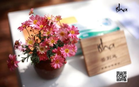 学员分享丨为什么我要参加国际瑜伽节线上修习营？