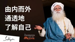 由内而外，通透地了解自己
