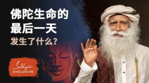 佛陀生命的最后一天发生了什么？丨视频