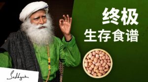 终极生存食谱——瑜伽超级食物之花生