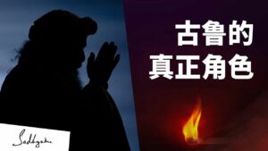 古鲁的真正角色