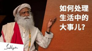 “我该如何处理生活中的大事儿？”丨视频