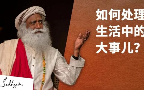 “我该如何处理生活中的大事儿？”丨视频