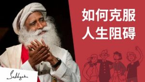 帮助你跨越人生障碍的五条建议
