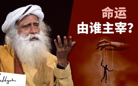 有人控制着我们的命运吗？丨视频