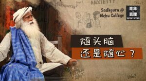 跟随头脑还是跟随心？丨视频