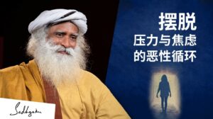 如何从压力、焦虑和痛苦的恶性循环中摆脱出来？丨视频