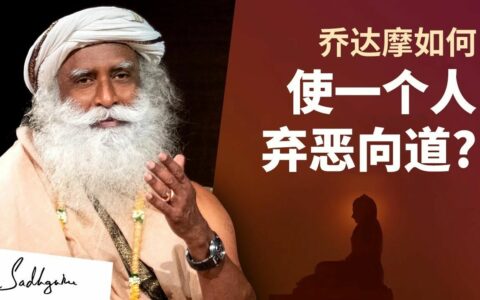 佛陀如何将杀手转化为圣人？｜佛陀故事连载（四）
