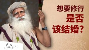 想要修行，结婚还是不结婚？丨视频