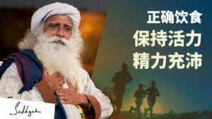 让你保持活力与精力充沛的正确饮食方法丨视频