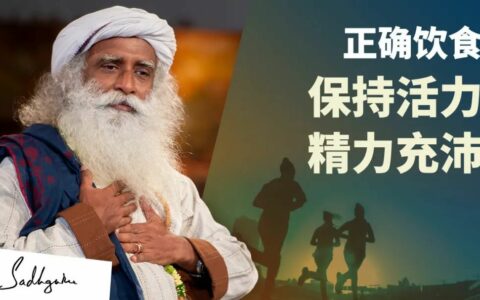 让你保持活力与精力充沛的正确饮食方法丨视频