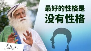 最好的性格是没有性格丨视频
