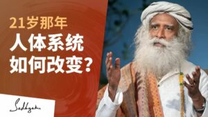 当你21岁时，人体系统发生了什么改变？丨视频