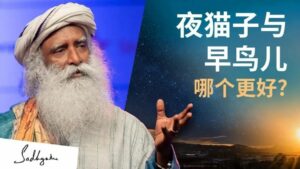 夜猫子与早鸟儿,哪个更好?丨视频