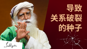 埋下这颗种子，关系难免失败丨视频