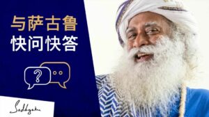 萨古鲁用一个词快问快答丨视频