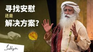 你寻找的是安慰，还是解决方案？丨视频