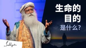 生命的目的是什么？丨视频