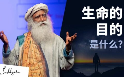 生命的目的是什么？丨视频