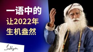 萨古鲁让2022 年生机盎然