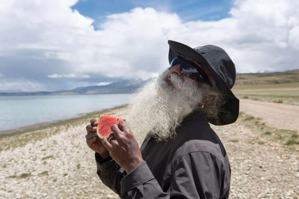 哪些是提升能量水平的最佳食物，哪些应该避免？