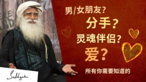 情人节特辑——关于爱与关系的三大热门问题