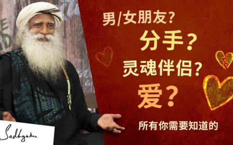 情人节特辑——关于爱与关系的三大热门问题