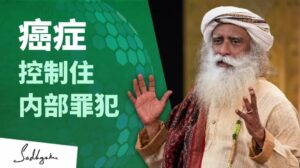 防治癌症———控制住内部罪犯
