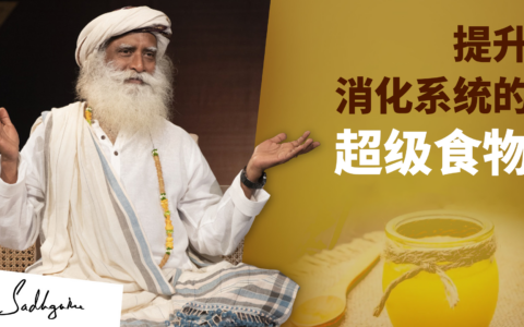 提升消化系统的超级食物