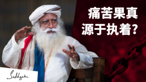 痛苦真的来源于执着吗？