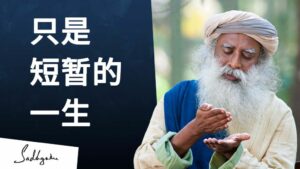 生命转瞬即逝