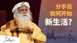 分手后如何开始新生活