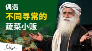 偶遇不同寻常的蔬菜小贩