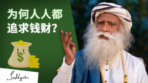 为何人人都追求钱财？