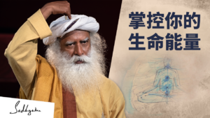 萨古鲁：掌控你的生命能量